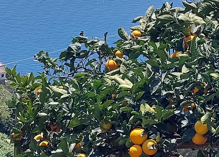 Casa Orizzonte * 阿马尔菲